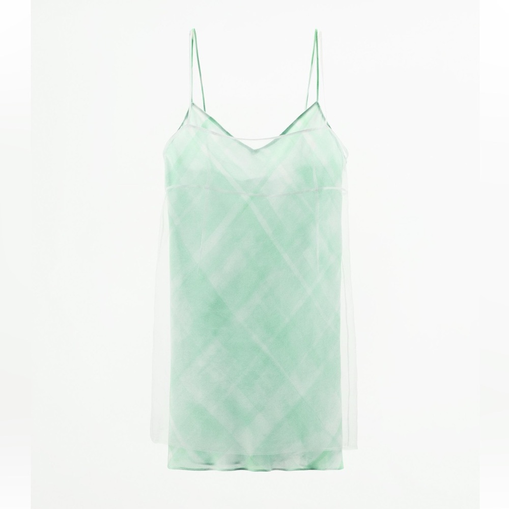 Zara Organza Mini Dress